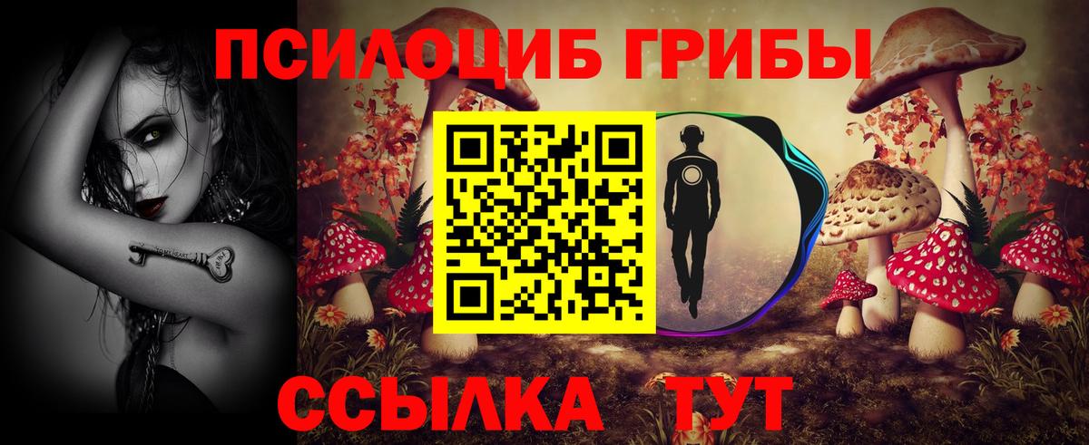 Псилоцибиновые грибы мицелий Сочи